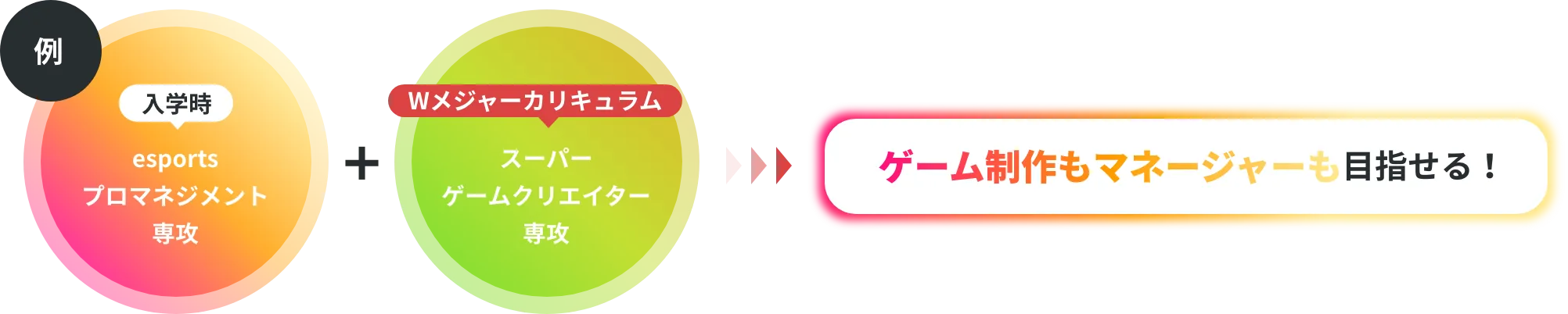 Wメジャーカリキュラム