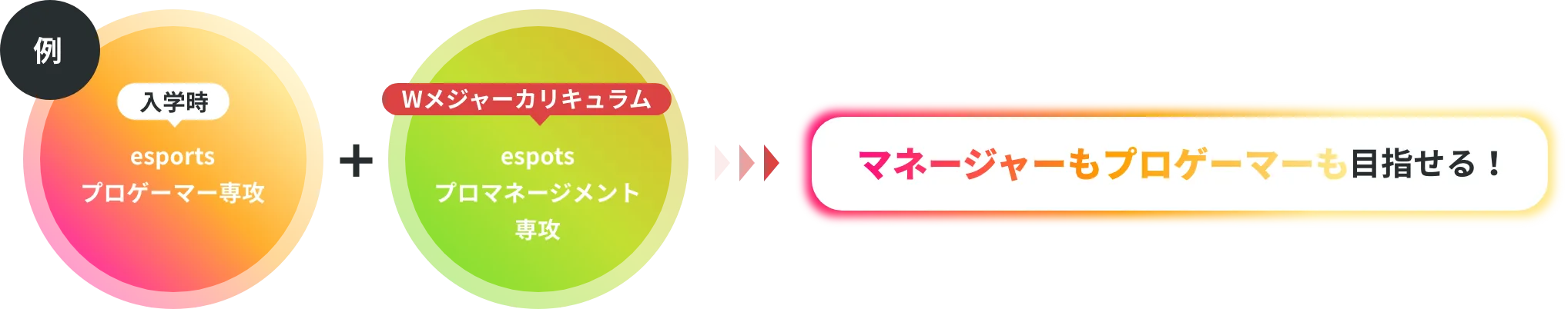 Wメジャーカリキュラム