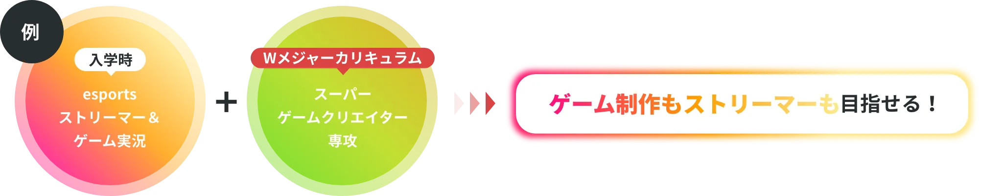 Wメジャーカリキュラム